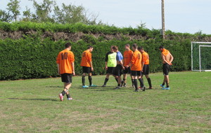 55e460806e7f4_IMG4032.JPG
