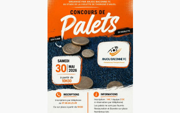 Concours de palets